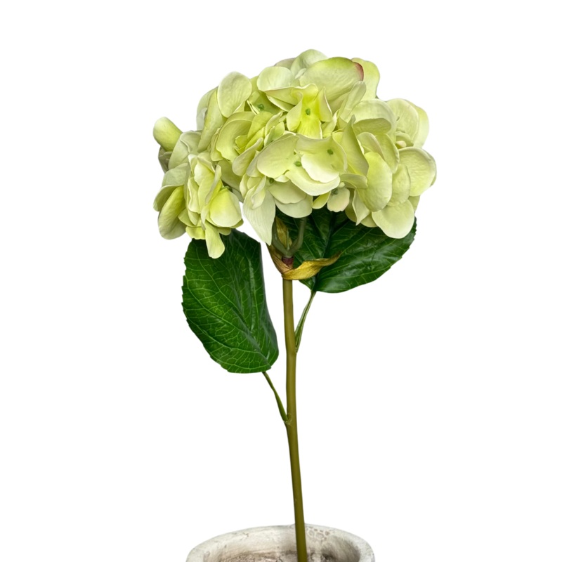Real Touch Green Hydrangea Stem