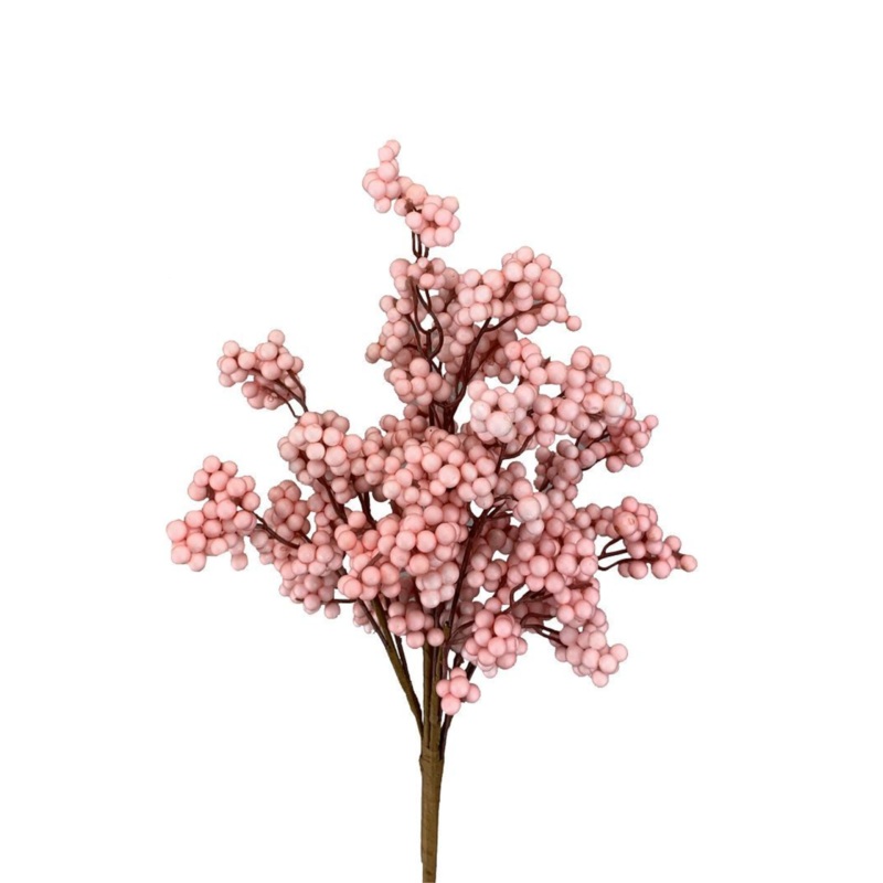 Berry Bush