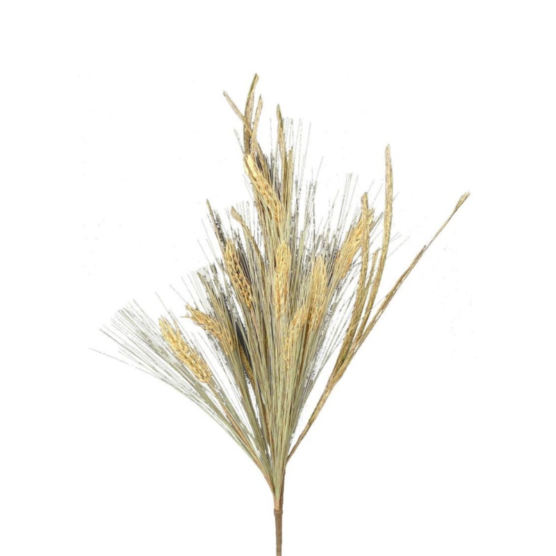 Wheat Grass Spray