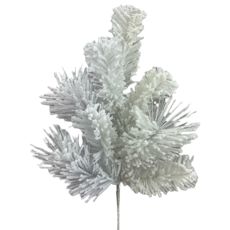 White Pine Pick