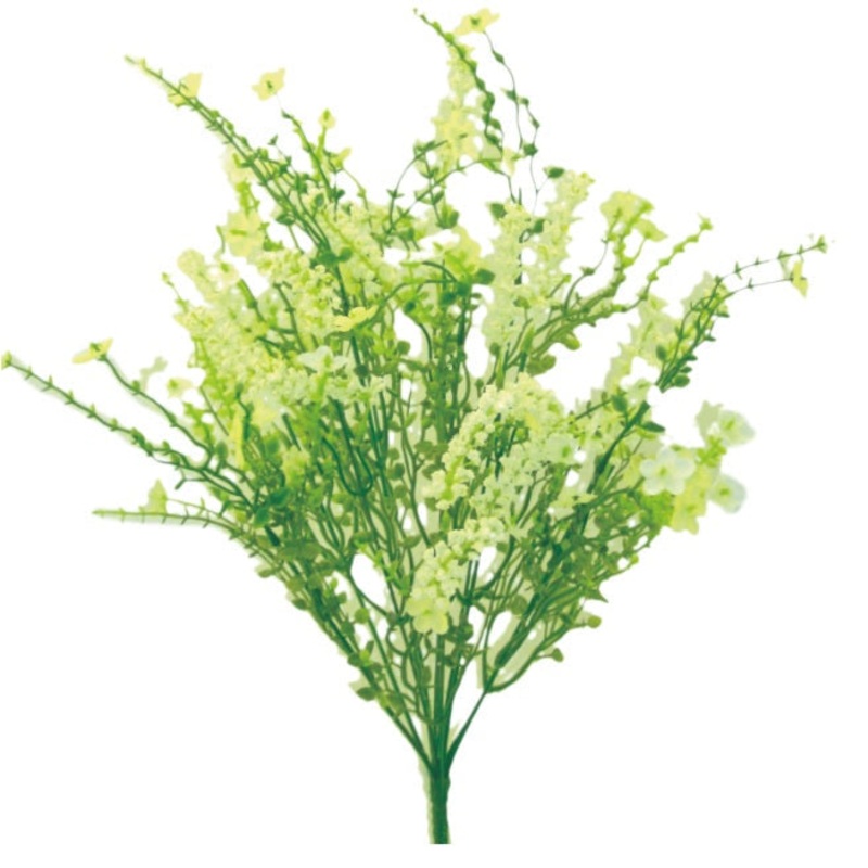 Baby’s Breath Filler Bush