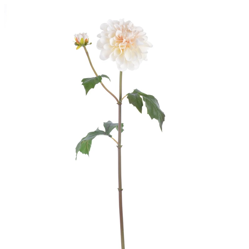 Beige Dahlia Stem