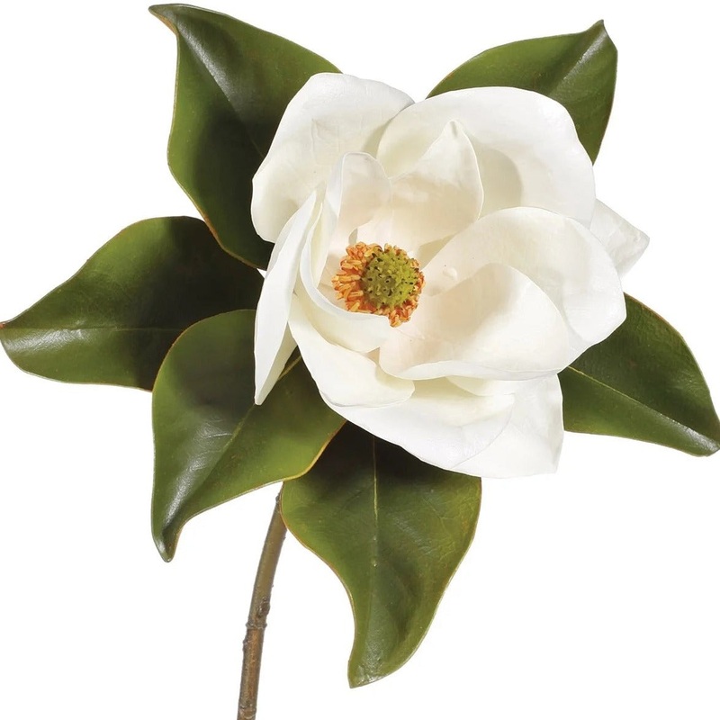 Two Tone White Magnolia Pick