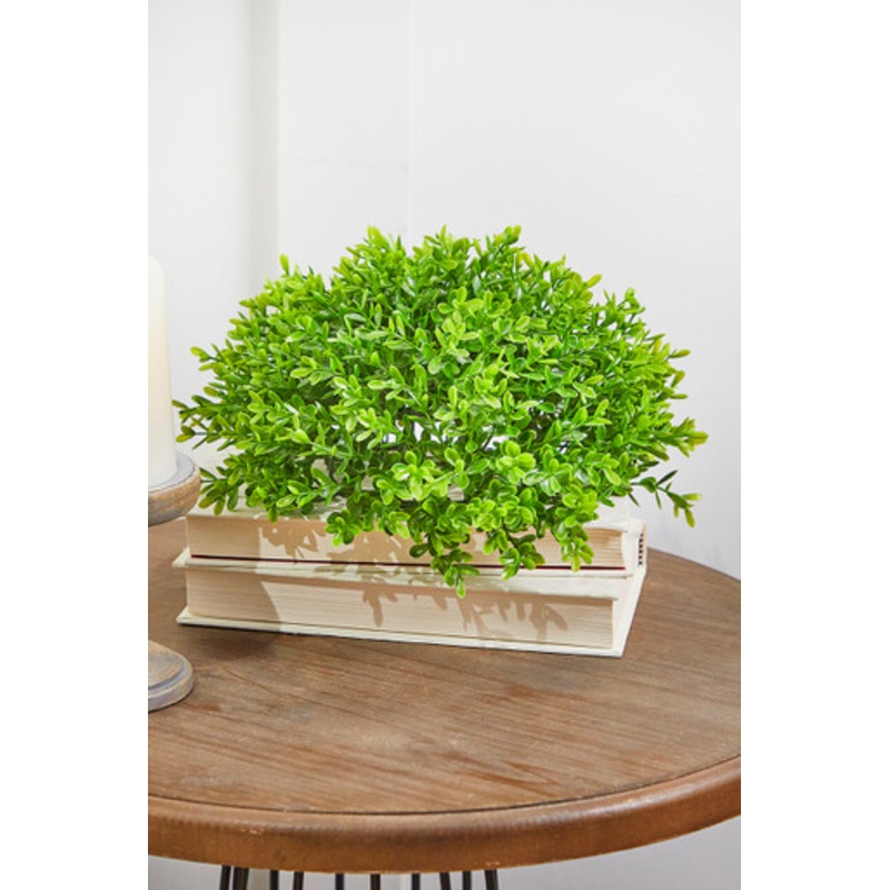 10 Boxwood 1/2 Orb